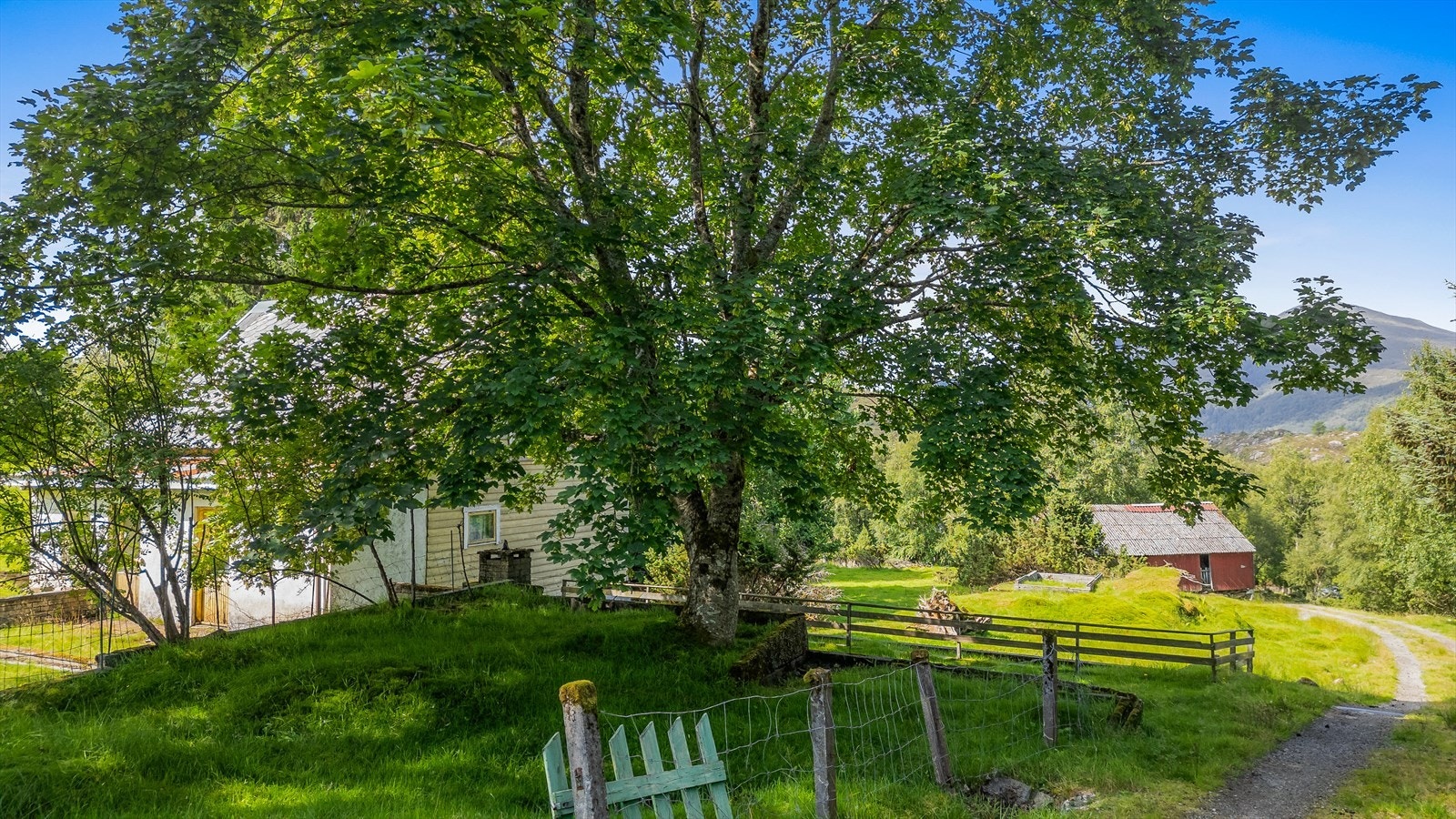 Naturskjønne omgivelser Galleribilde