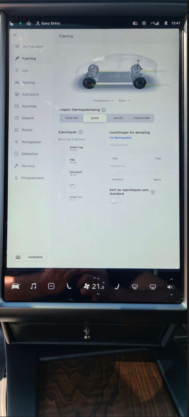 Tesla Model X 55