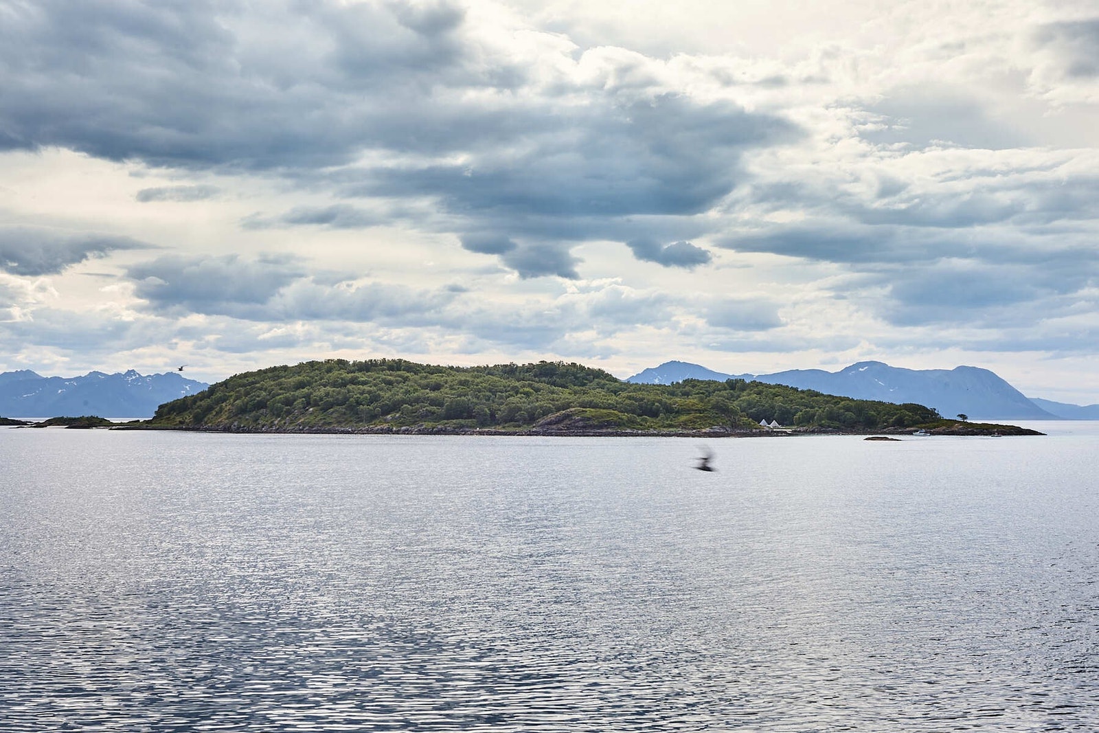 Burøya er et yndet utfartssted for mange i regionen Galleribilde