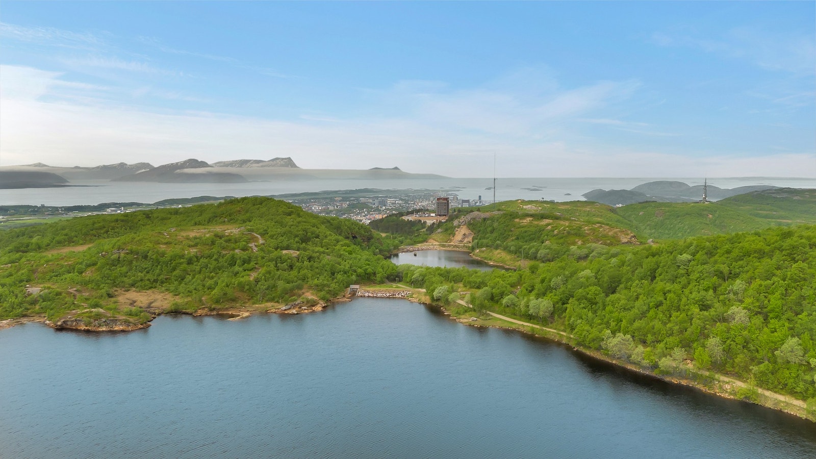 Nærområdet. Galleribilde