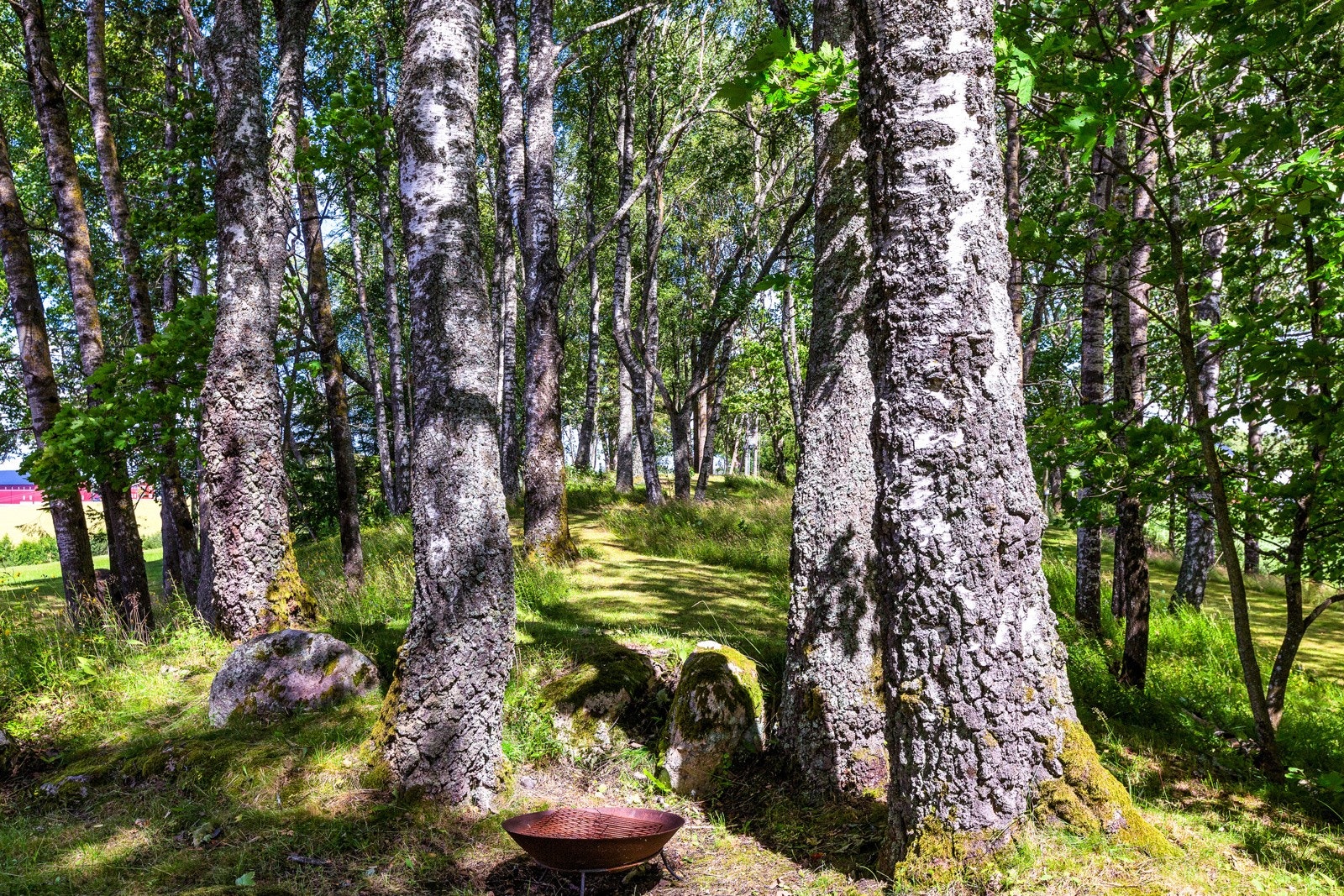 01Fasade_11 Galleribilde