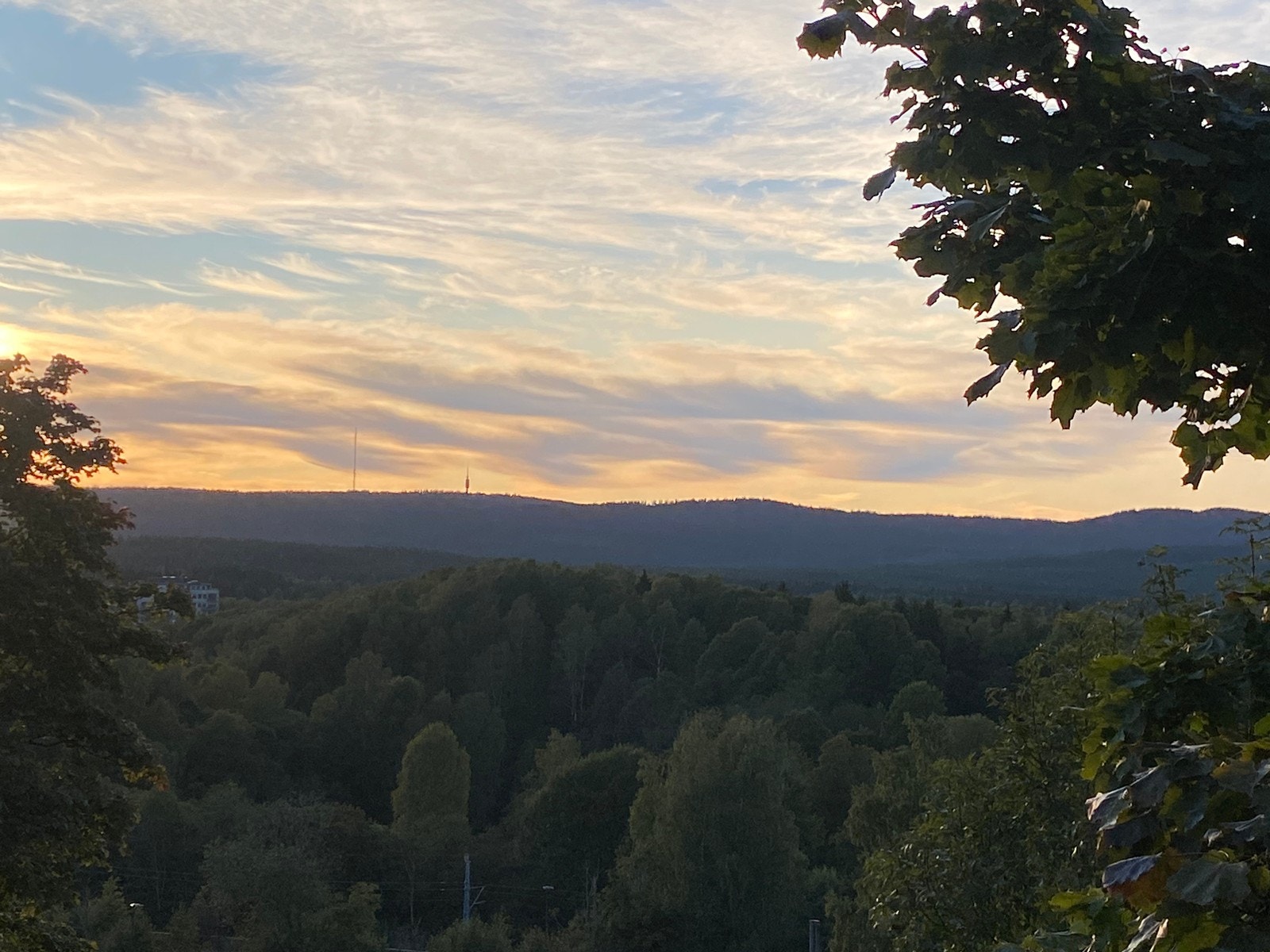 Utsikt sommer Galleribilde