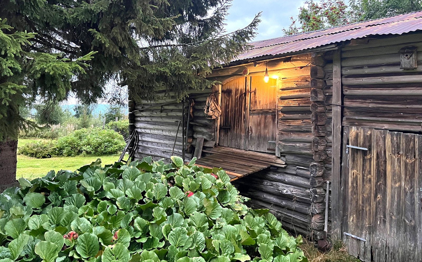 Tømmerlåven på 50 kvm er fra 1842 Galleribilde