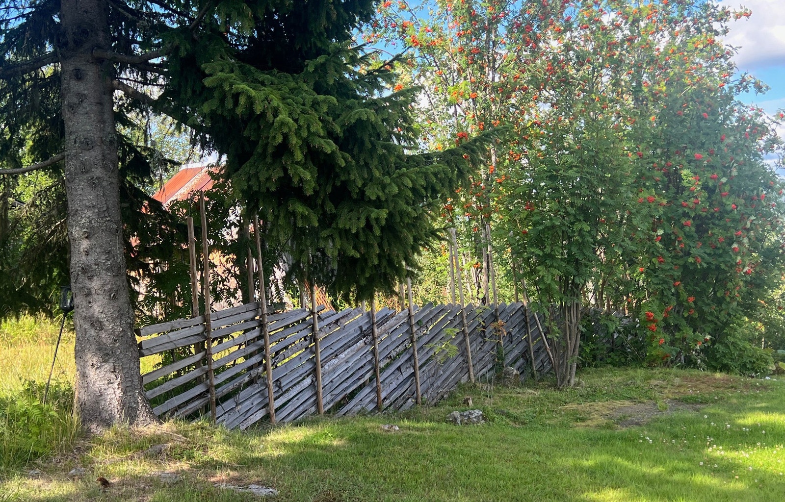 Skigard Galleribilde