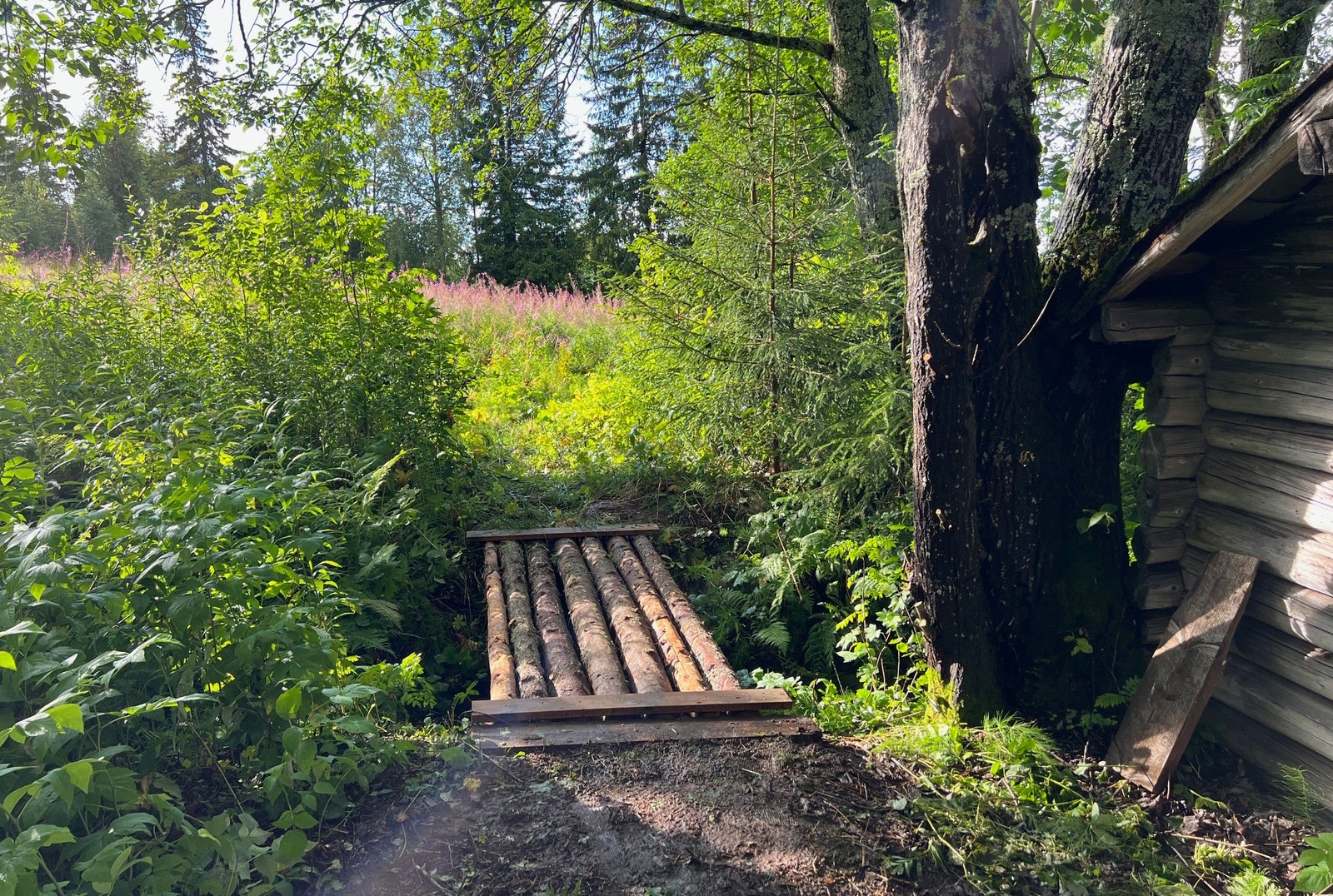 Bro over bekken som renner gjennom eiendommen Galleribilde