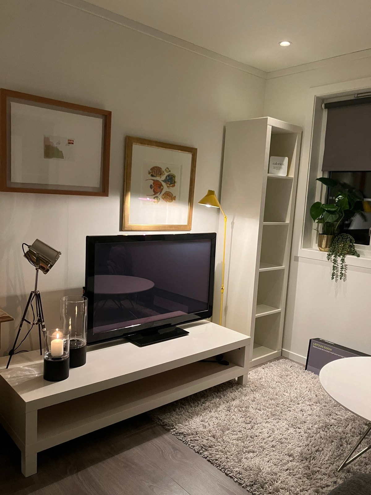 Tv-krok Galleribilde