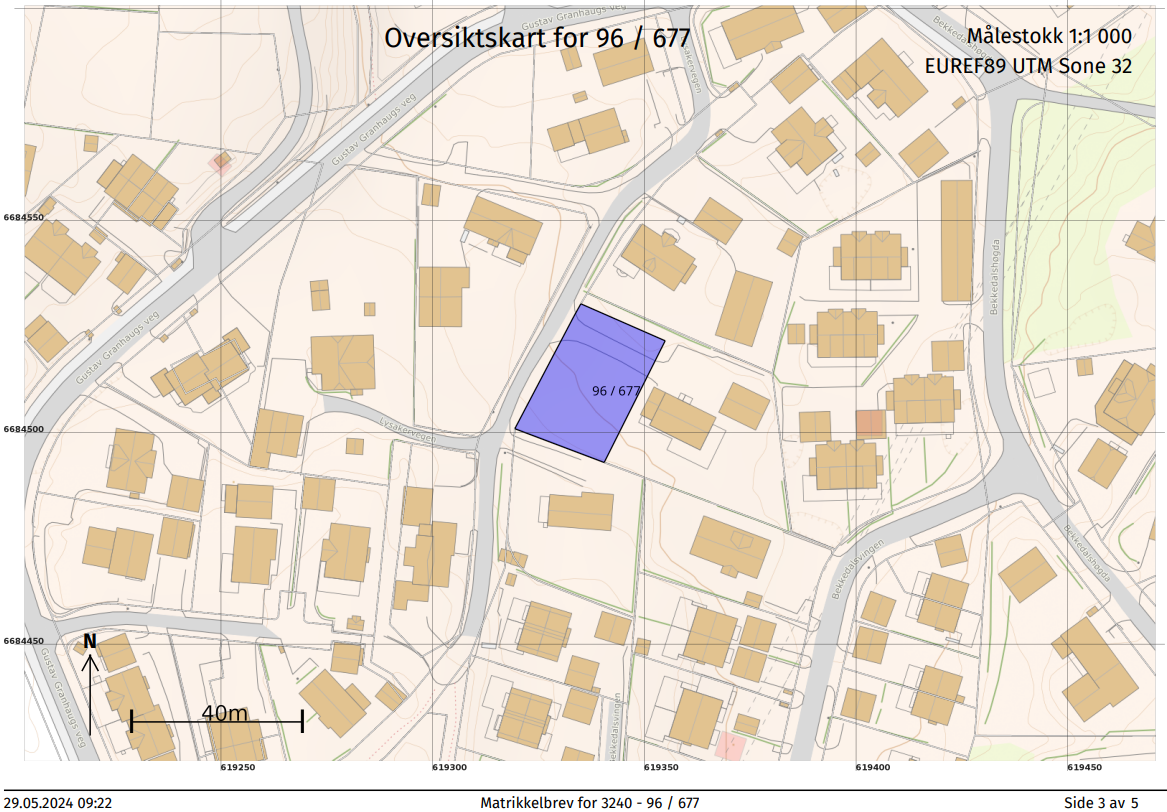 Bilde som viser hvor tomten ligger i nabolaget Galleribilde