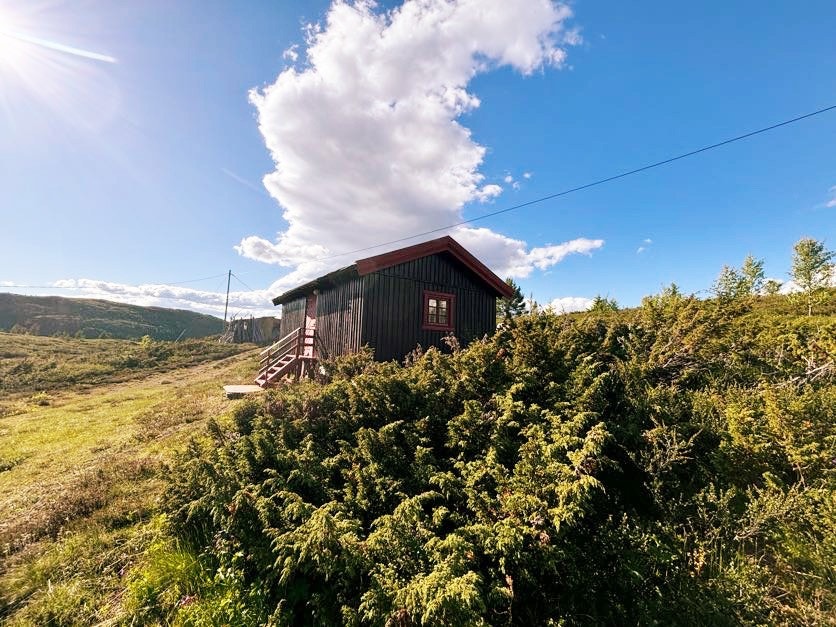 Annekset ligger like ved hytta Galleribilde