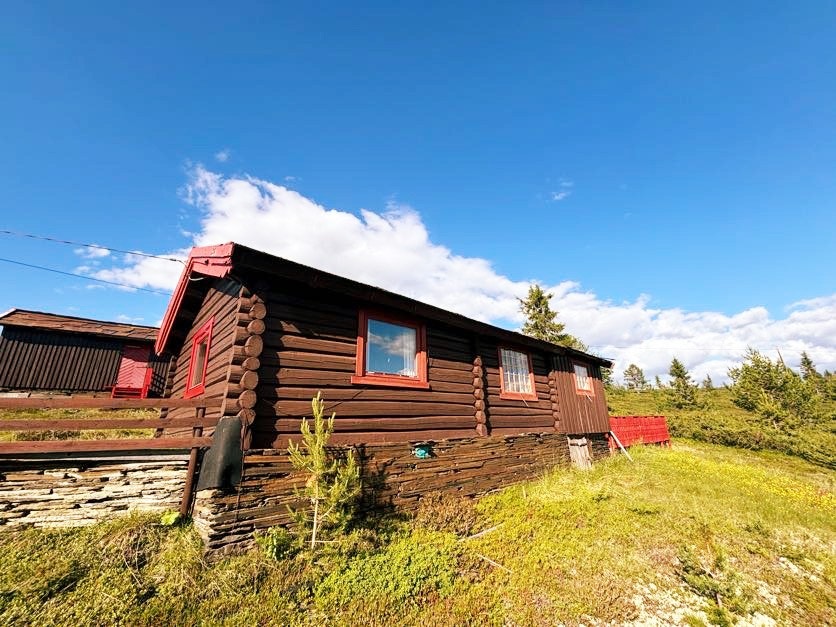 Hytta fra 1938 med villskifer på tak Galleribilde