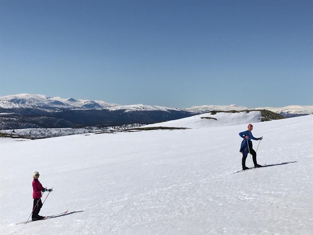 Flotte områder for skiturer godt over tregrensen Galleribilde