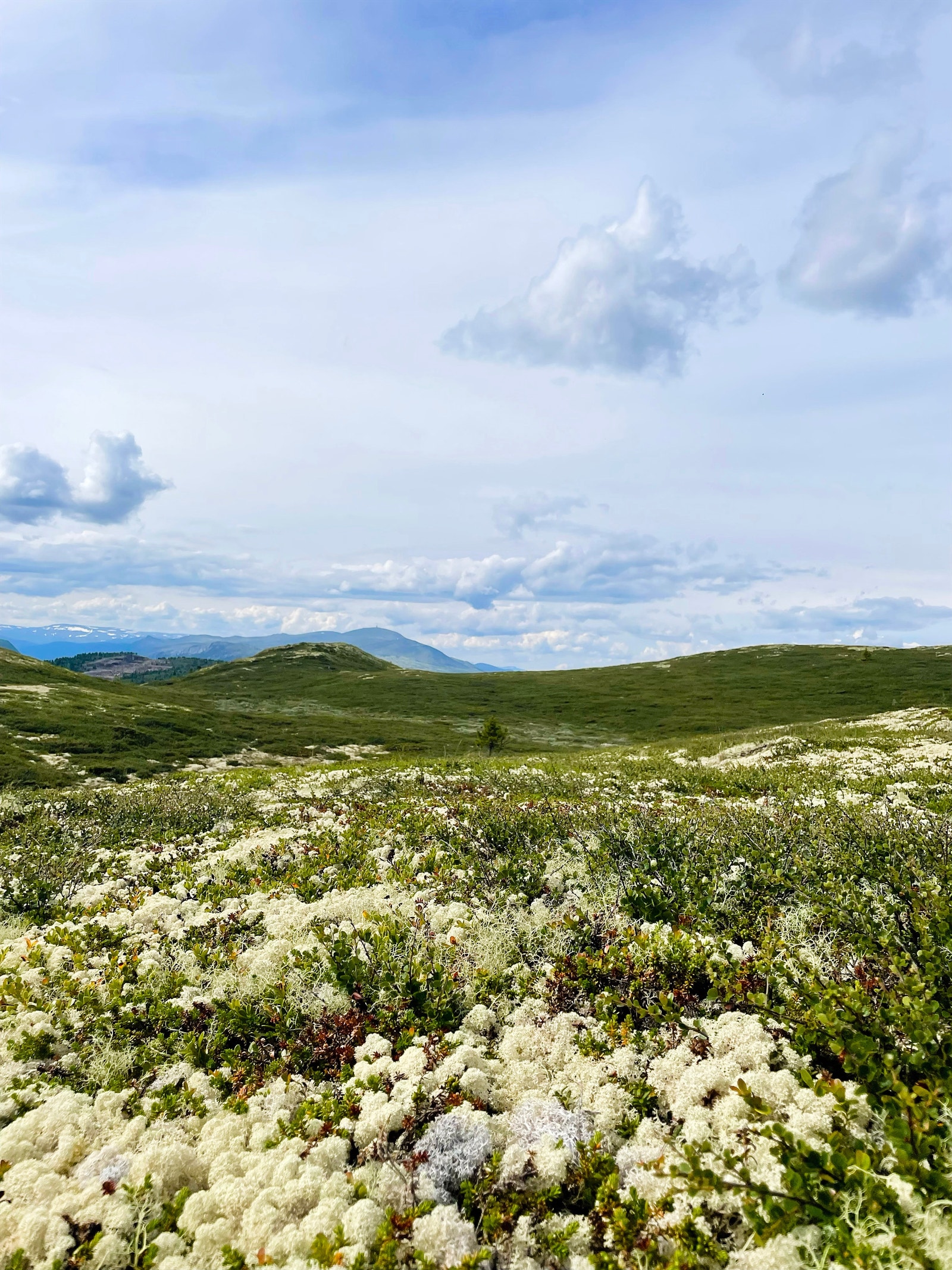 Det mange fine turer med utgangspunkt i hytta Galleribilde