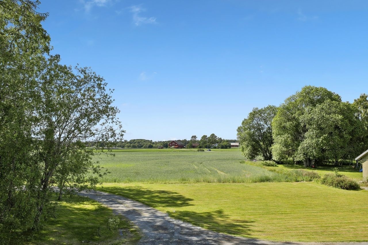 Flott utsikt fra flere av rommene mot sør-vest Galleribilde