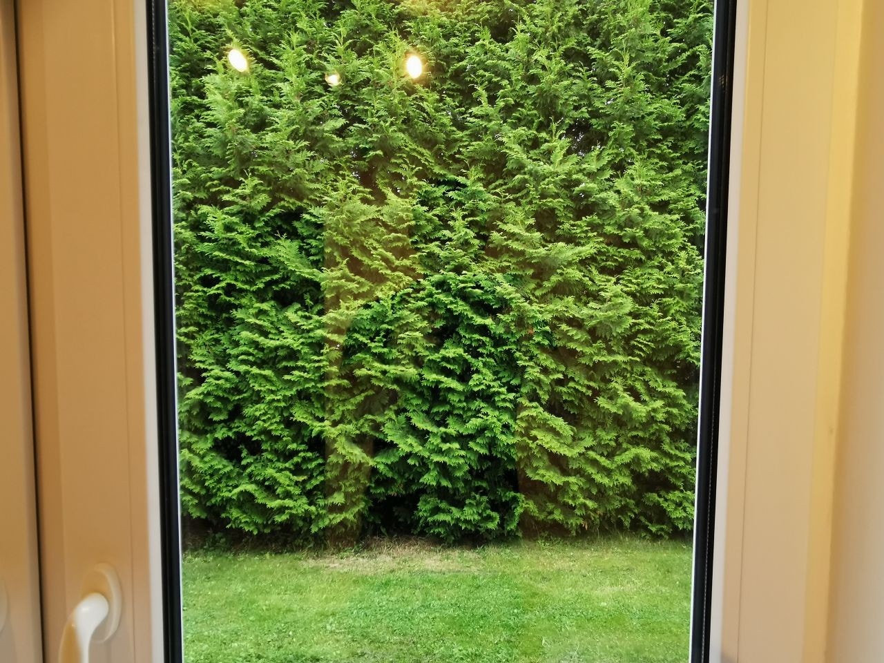 Utsikt mot hagen mot øst Galleribilde