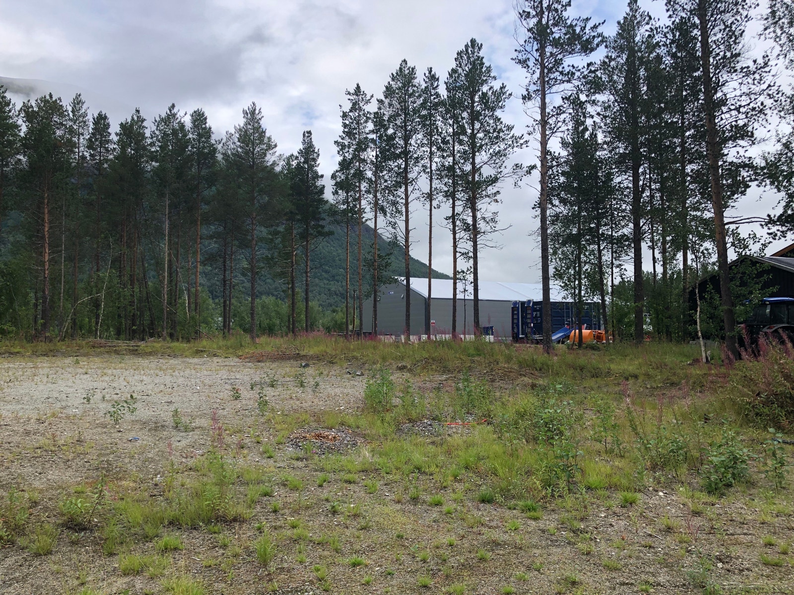 bak bygget. planert tomt og noe skog Galleribilde