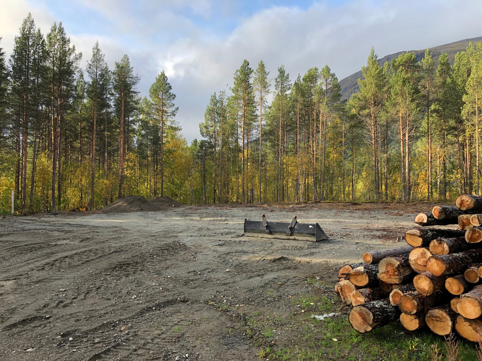 bak bygget. planert tomt og noe skog Galleribilde