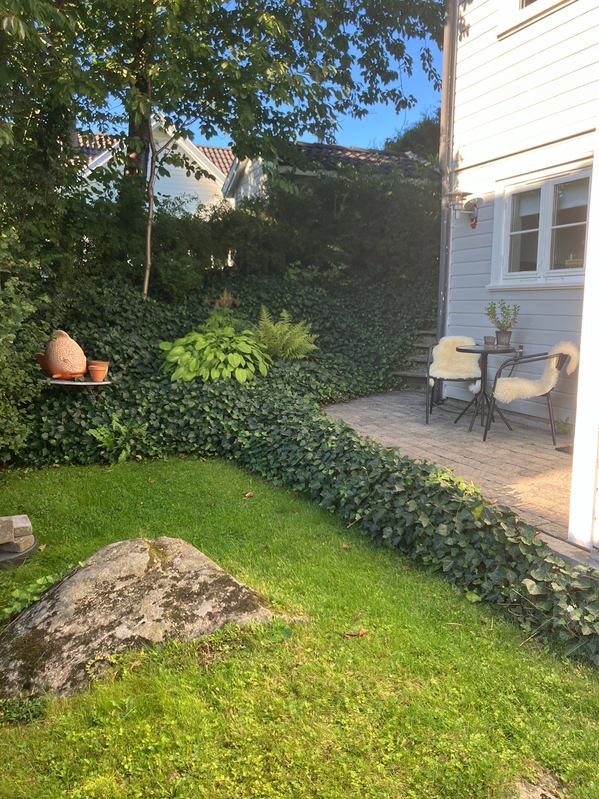 Hage/ uteplass Galleribilde