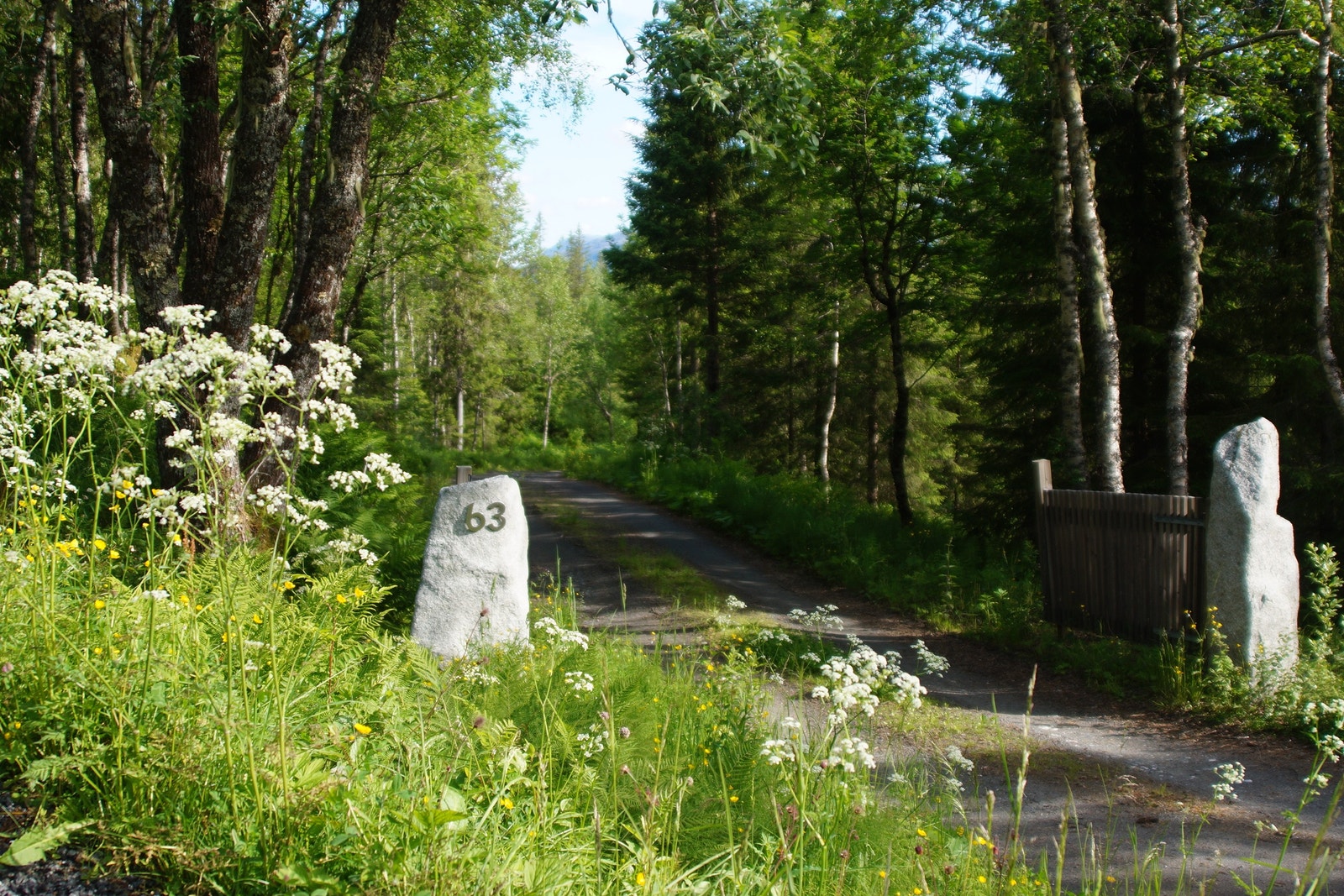 Driveway Galleribilde