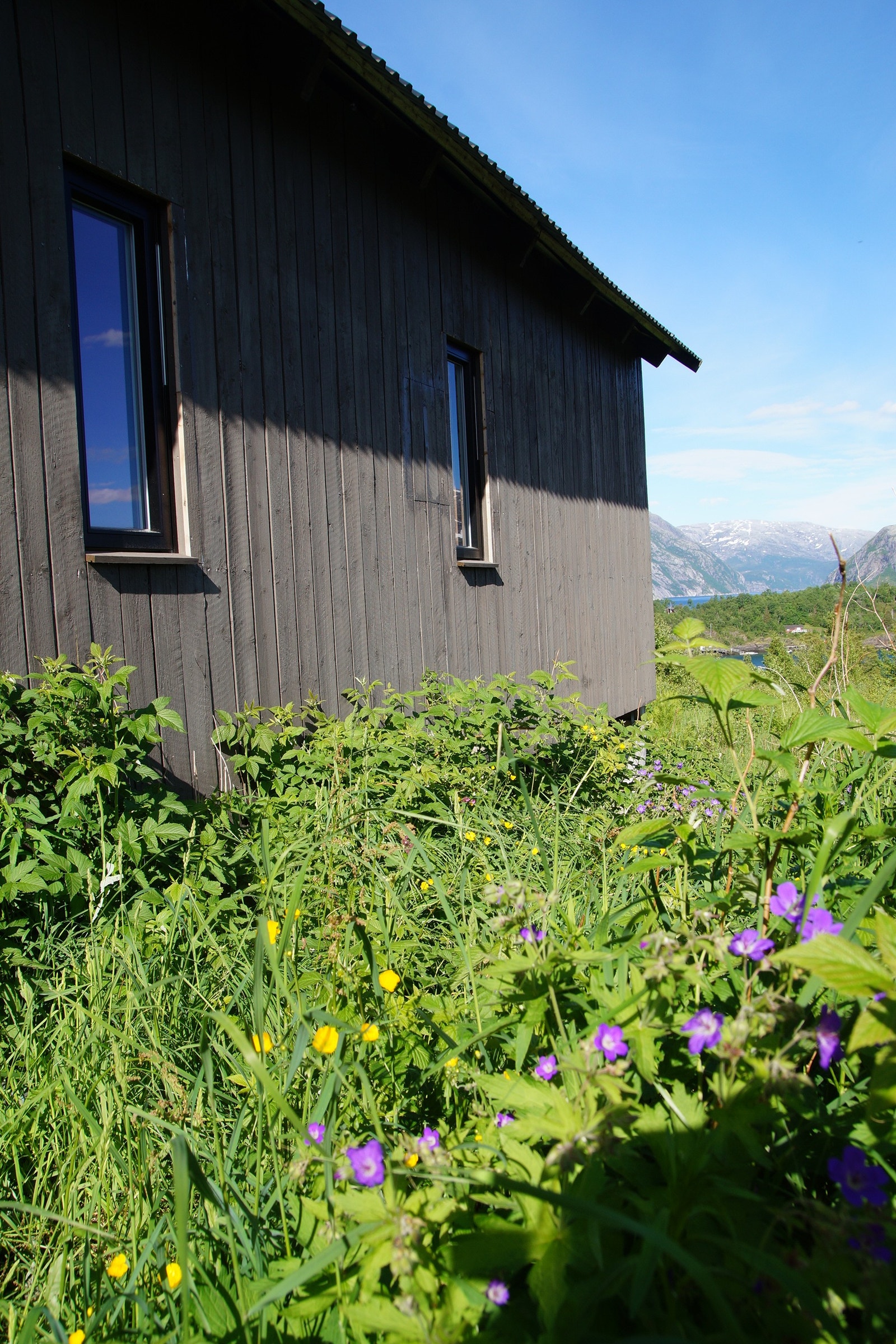 Uthus Galleribilde