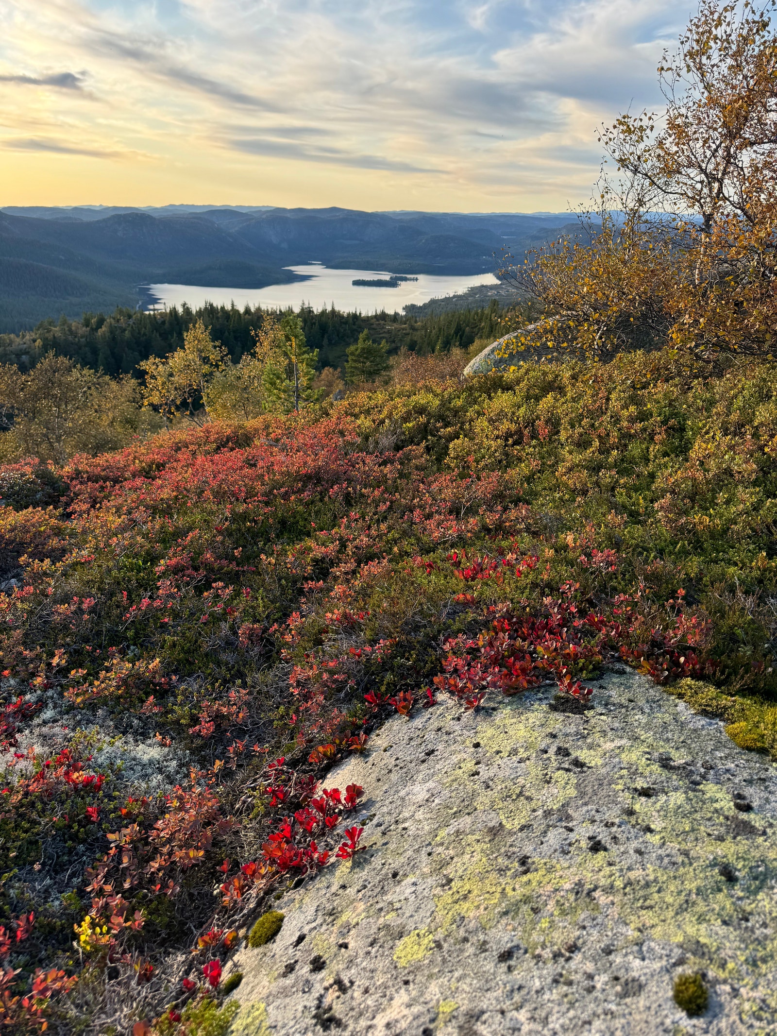 Haust i fjellet, flotte turområder Galleribilde