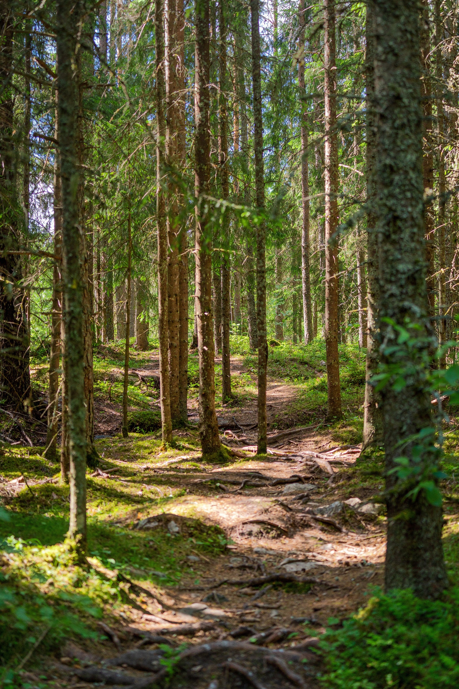 Flotte turmuligheter rett utenfor døren! Galleribilde