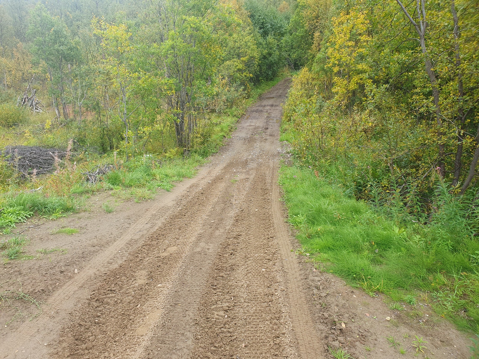 Nye hyttefelt vei Galleribilde