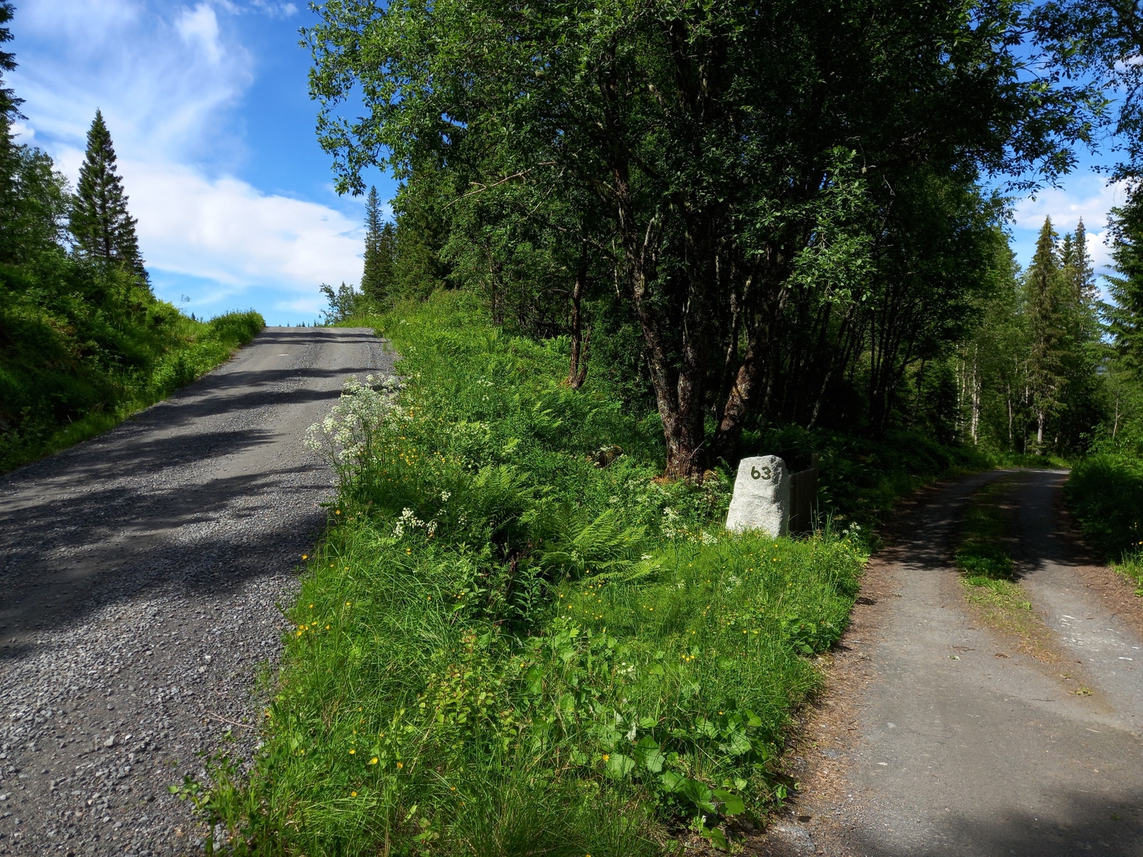 Entrance to the driveway Galleribilde