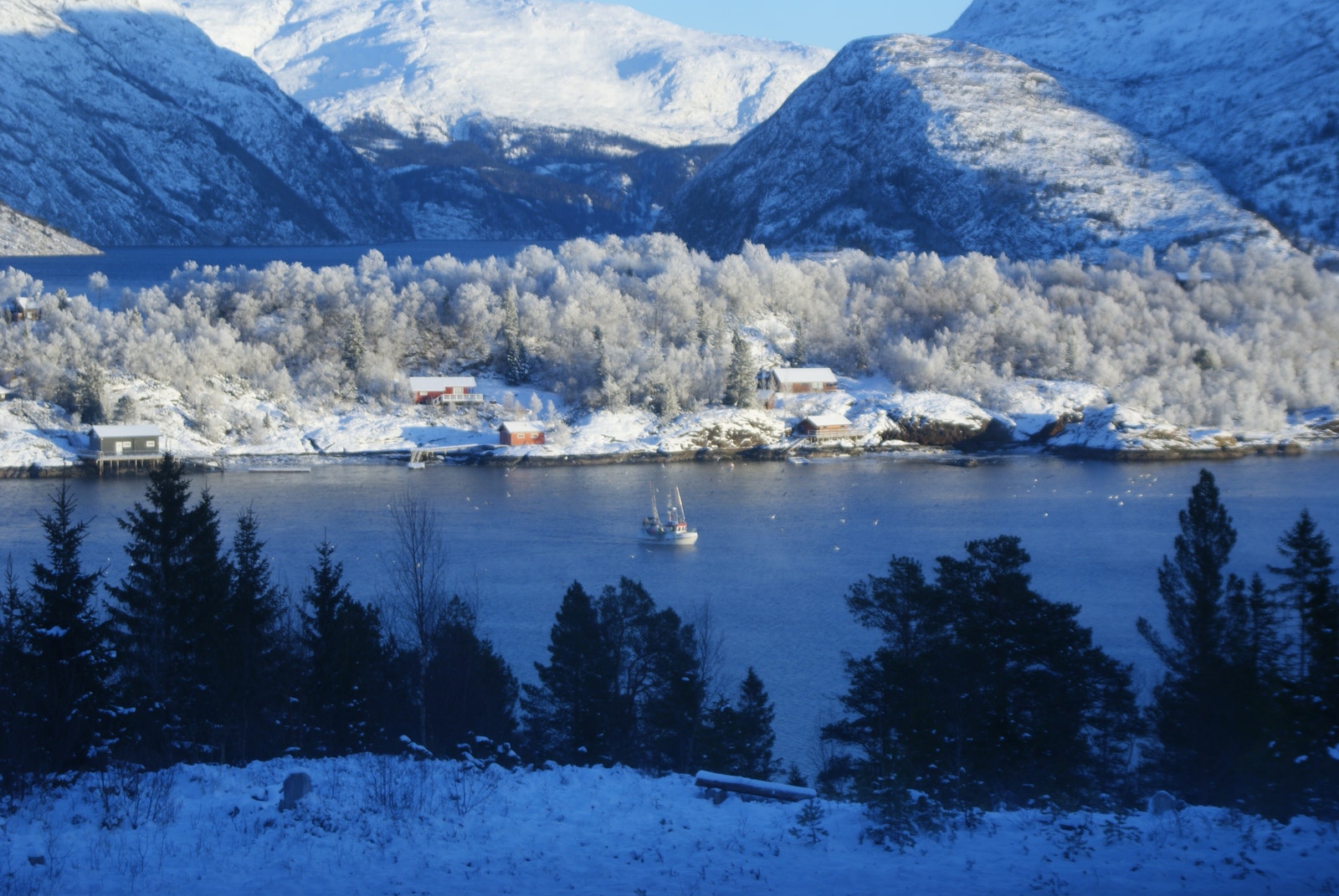 Winter Galleribilde