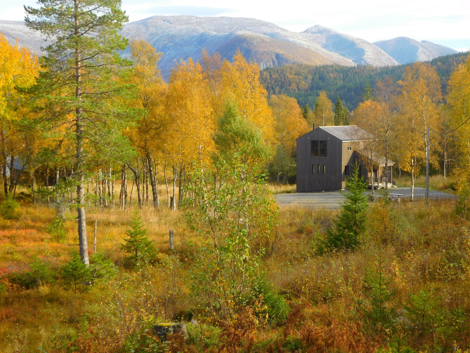 Autumn Galleribilde