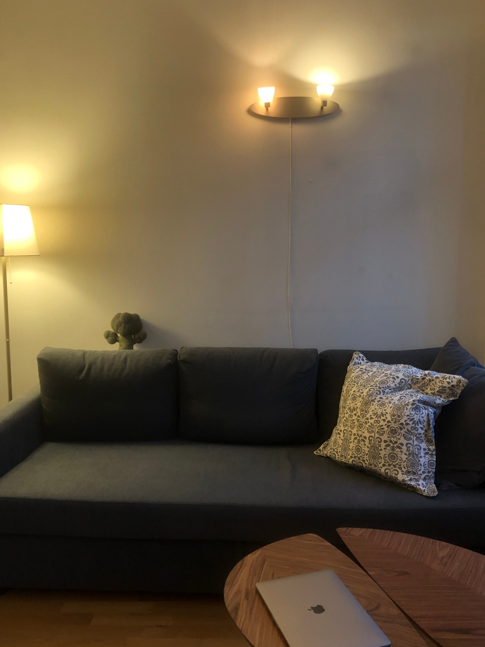 Stuen har sovesofa Galleribilde