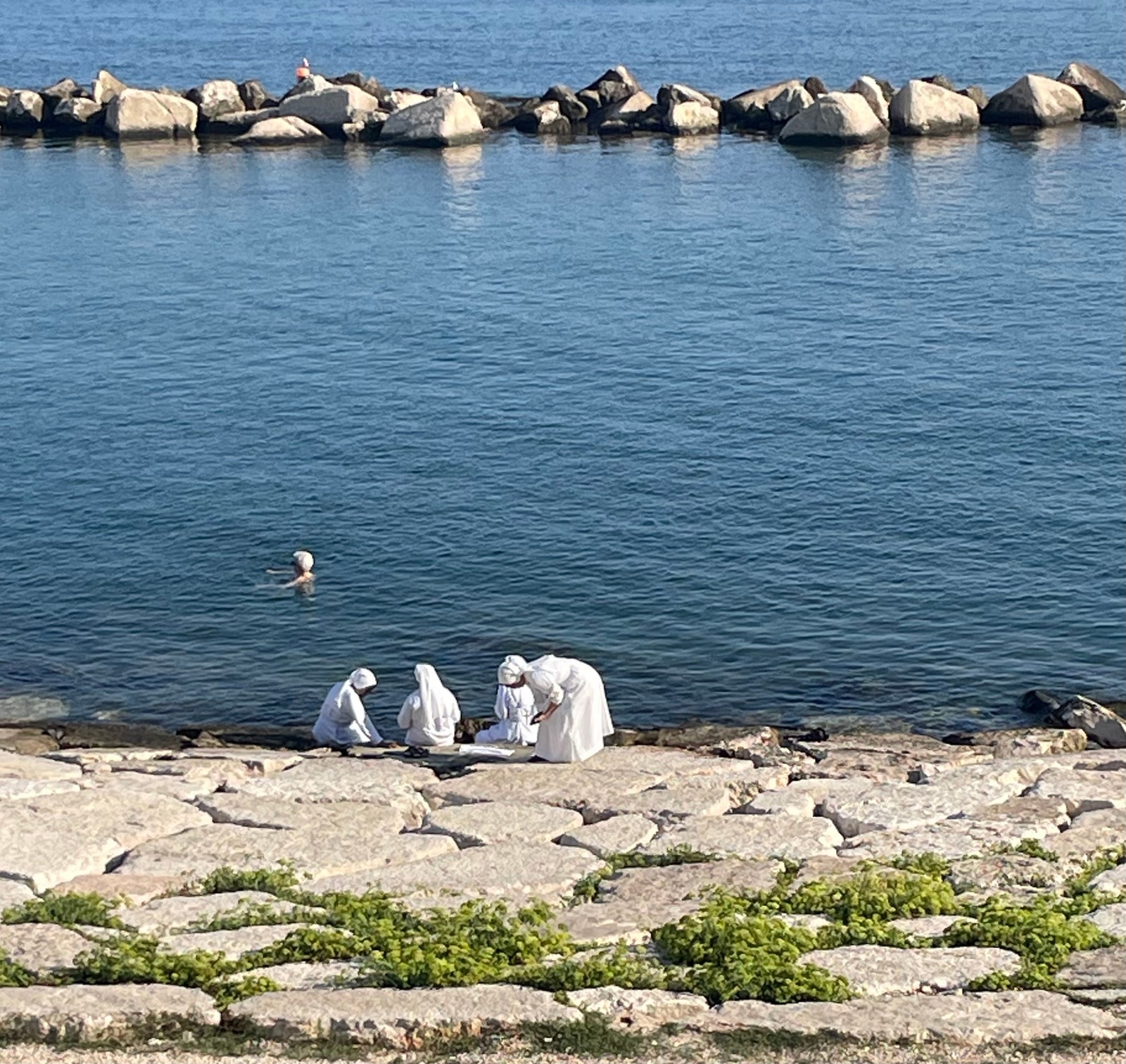 Molfetta Galleribilde