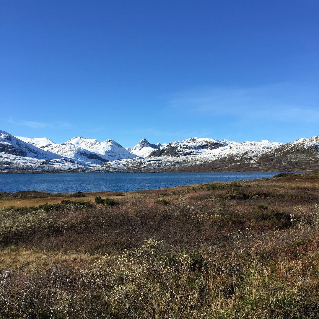... sett deg til rette og ta frem termosen. Bildet er tatt rett til høyre for leilighetene. Galleribilde