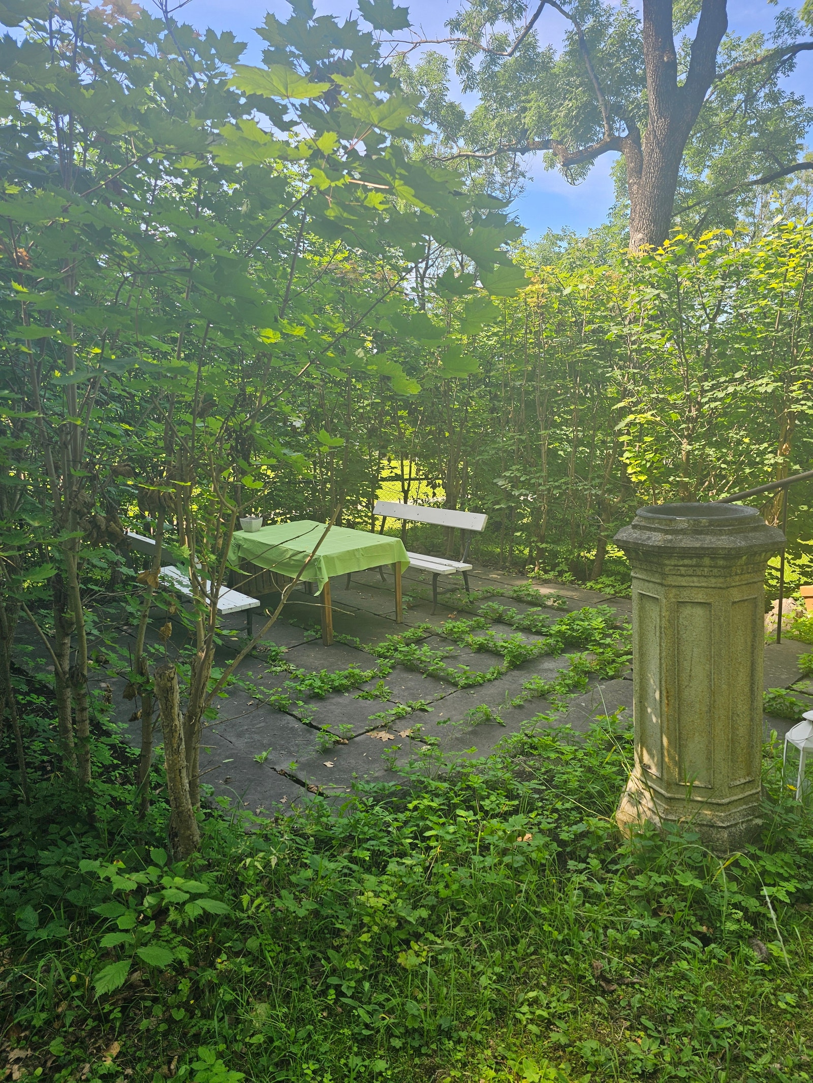 Hagestemning Galleribilde