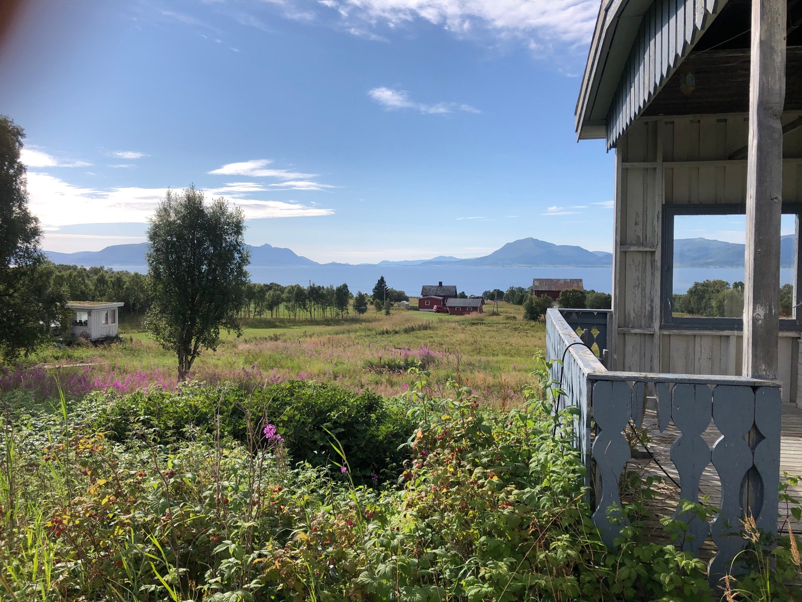 Juli -24. Galleribilde