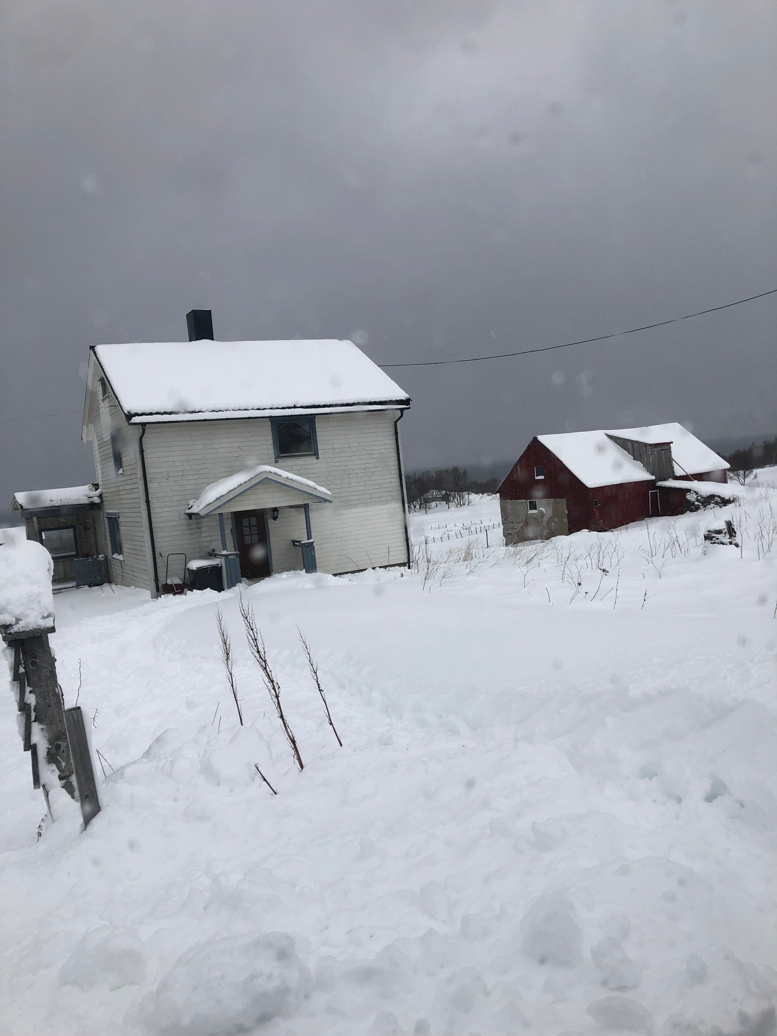 Januar-24. Galleribilde