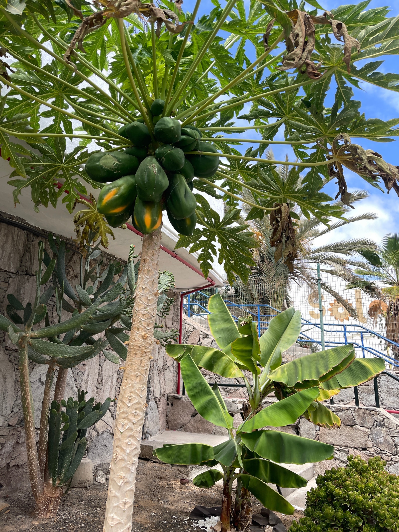 Anlegget Galleribilde