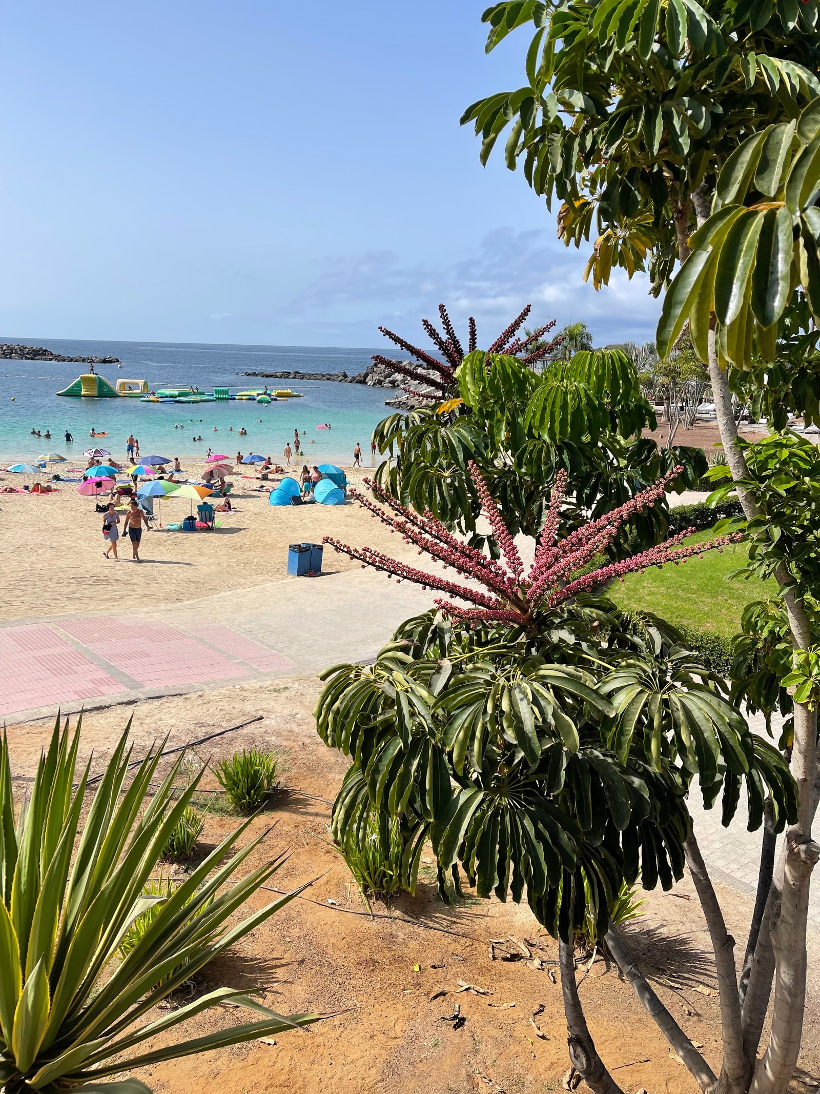 Amadores beach Galleribilde