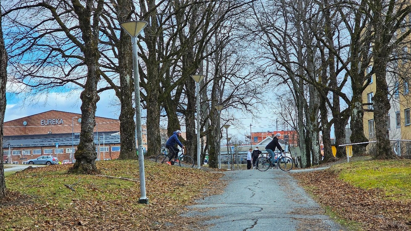 Walking tracks (2-min walk) Galleribilde
