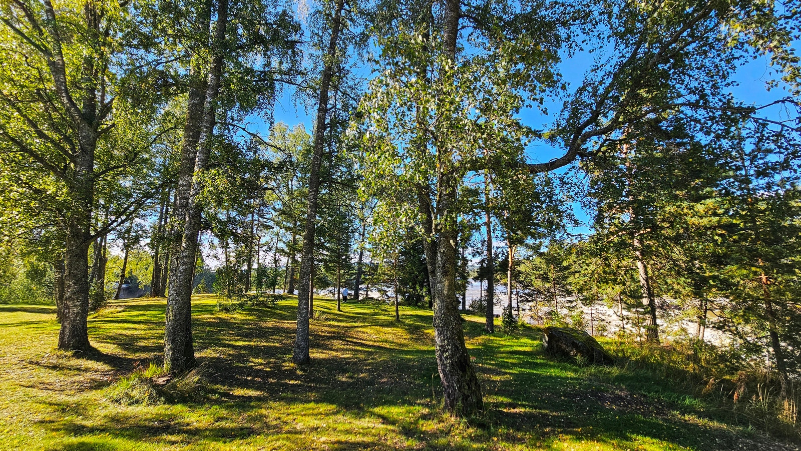 Glomma - Walking Track (15-min walk) Galleribilde