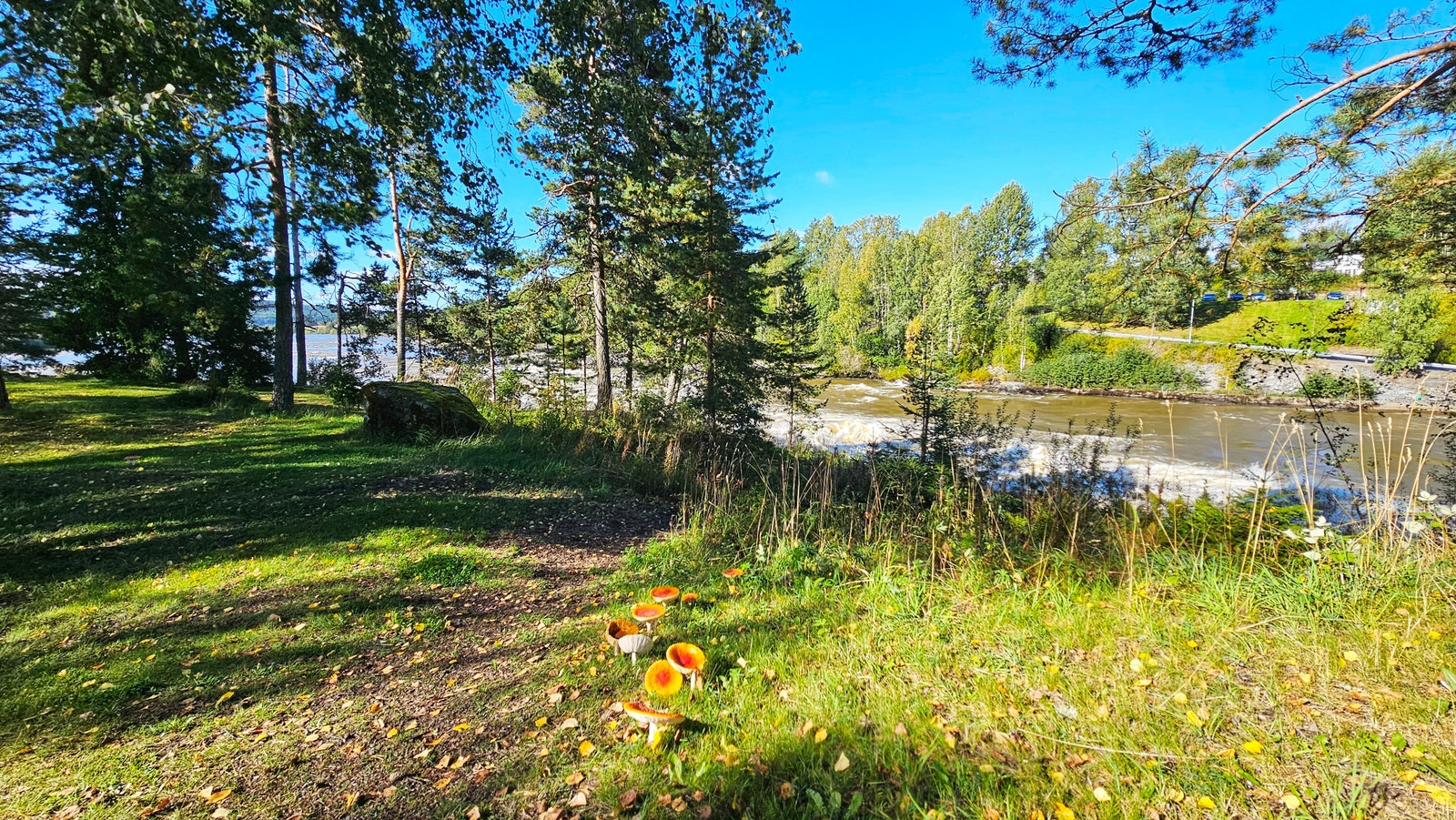 Glomma - Walking Track (15-min walk) Galleribilde