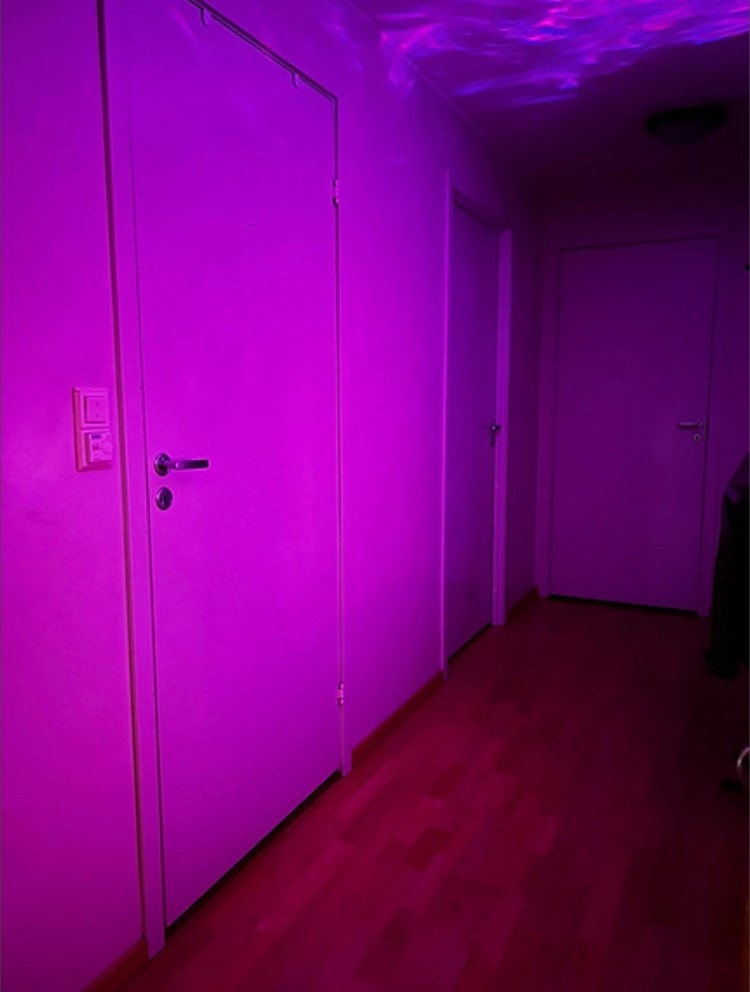 Hallway. Galleribilde