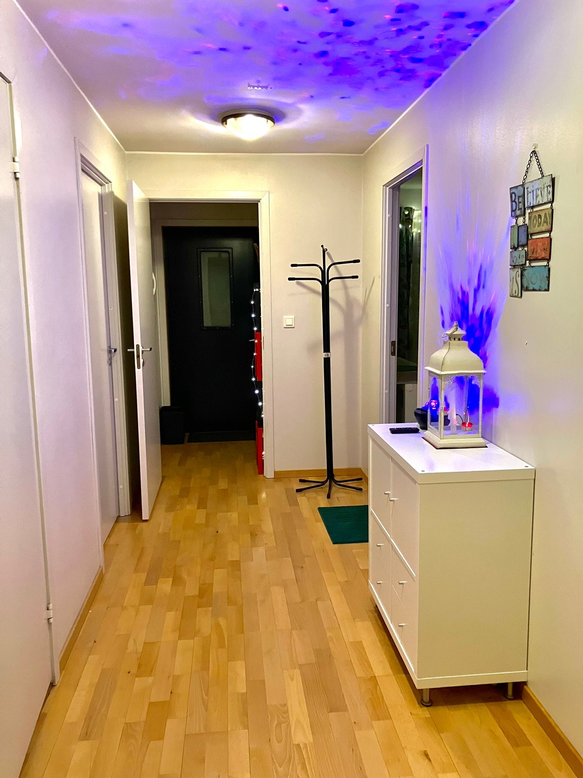 Hallway. Galleribilde