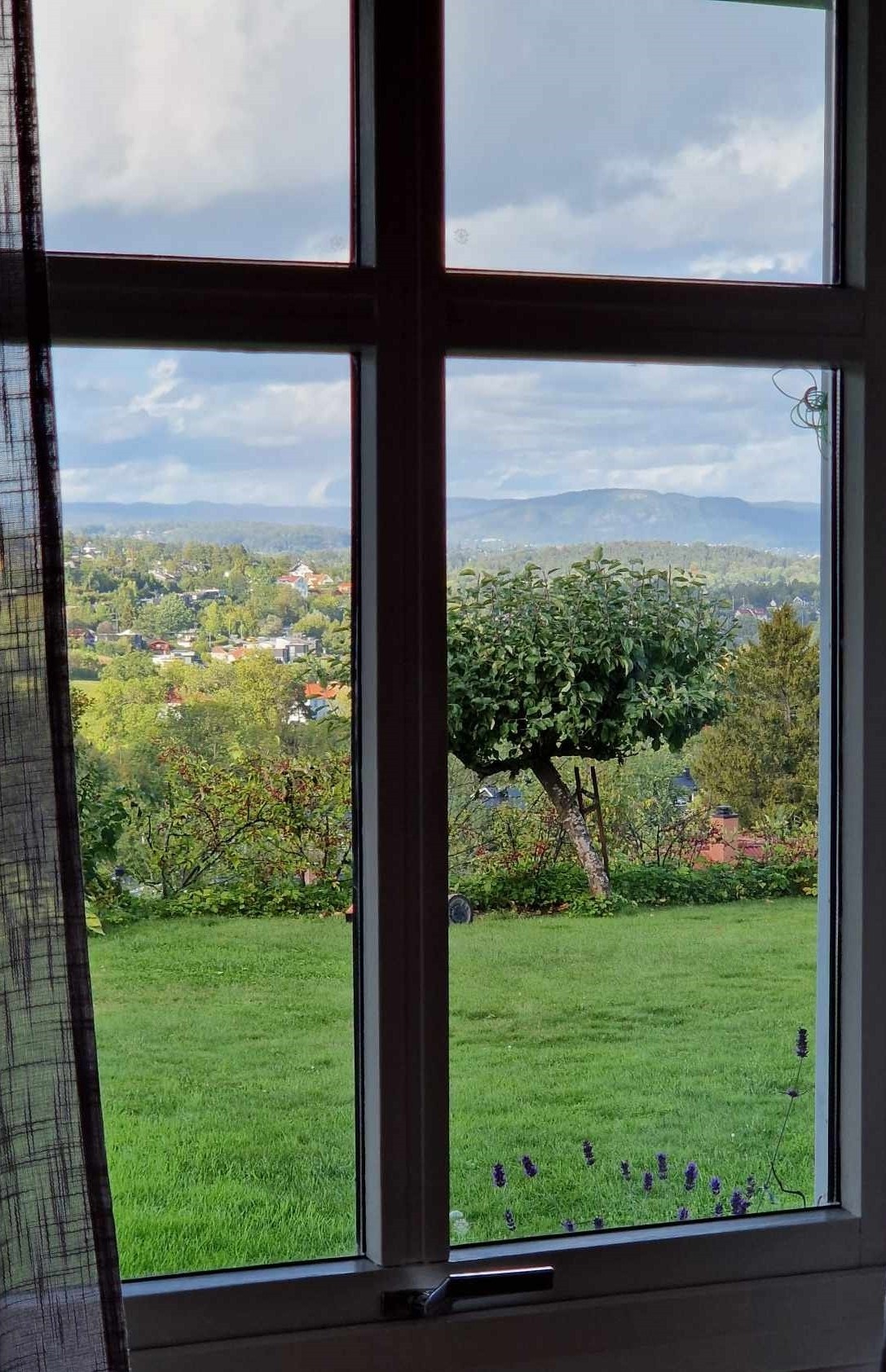 Utsikt fra stue Galleribilde