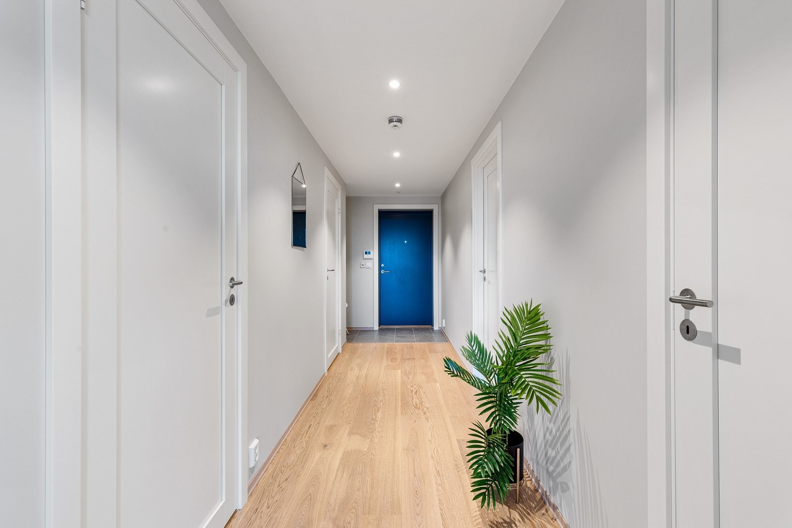 objpict_3858280791213716_0.jpg Galleribilde