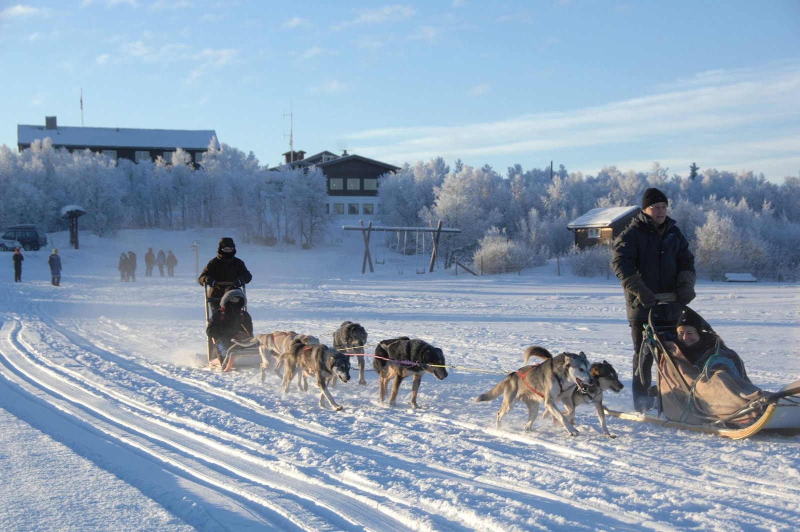 Vi organiserer hundekjøring for gjester deler av vinteren Galleribilde
