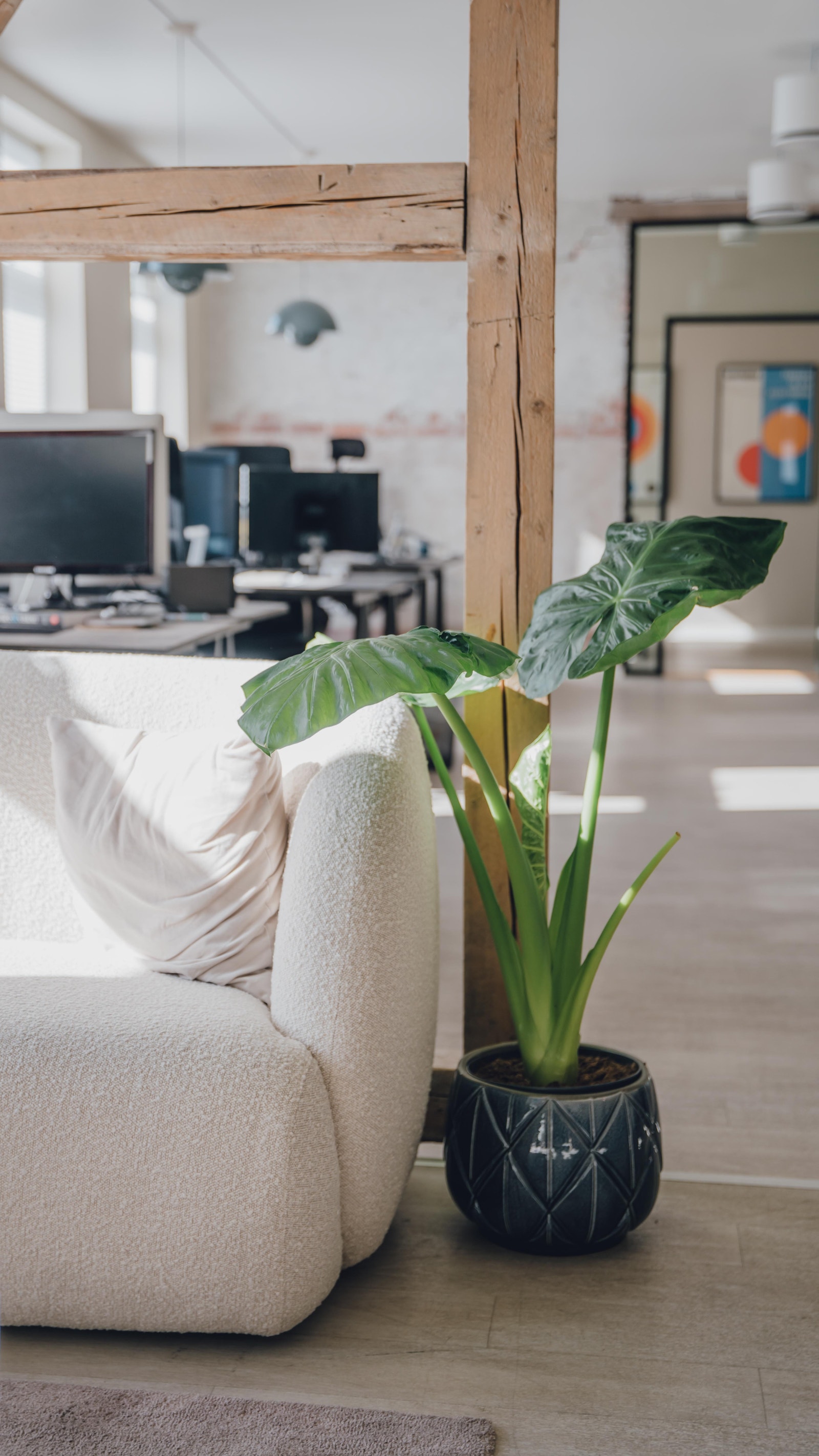 Sosial sone i tilknytning det åpne landskapet Galleribilde