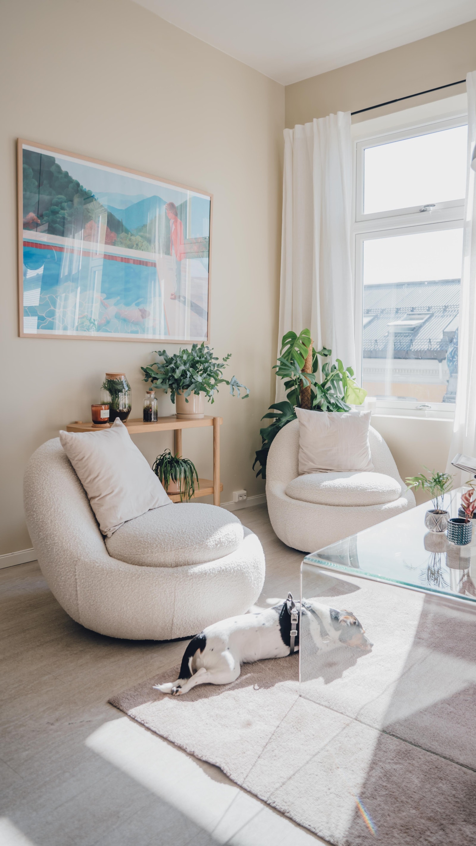 Sosial sone Galleribilde