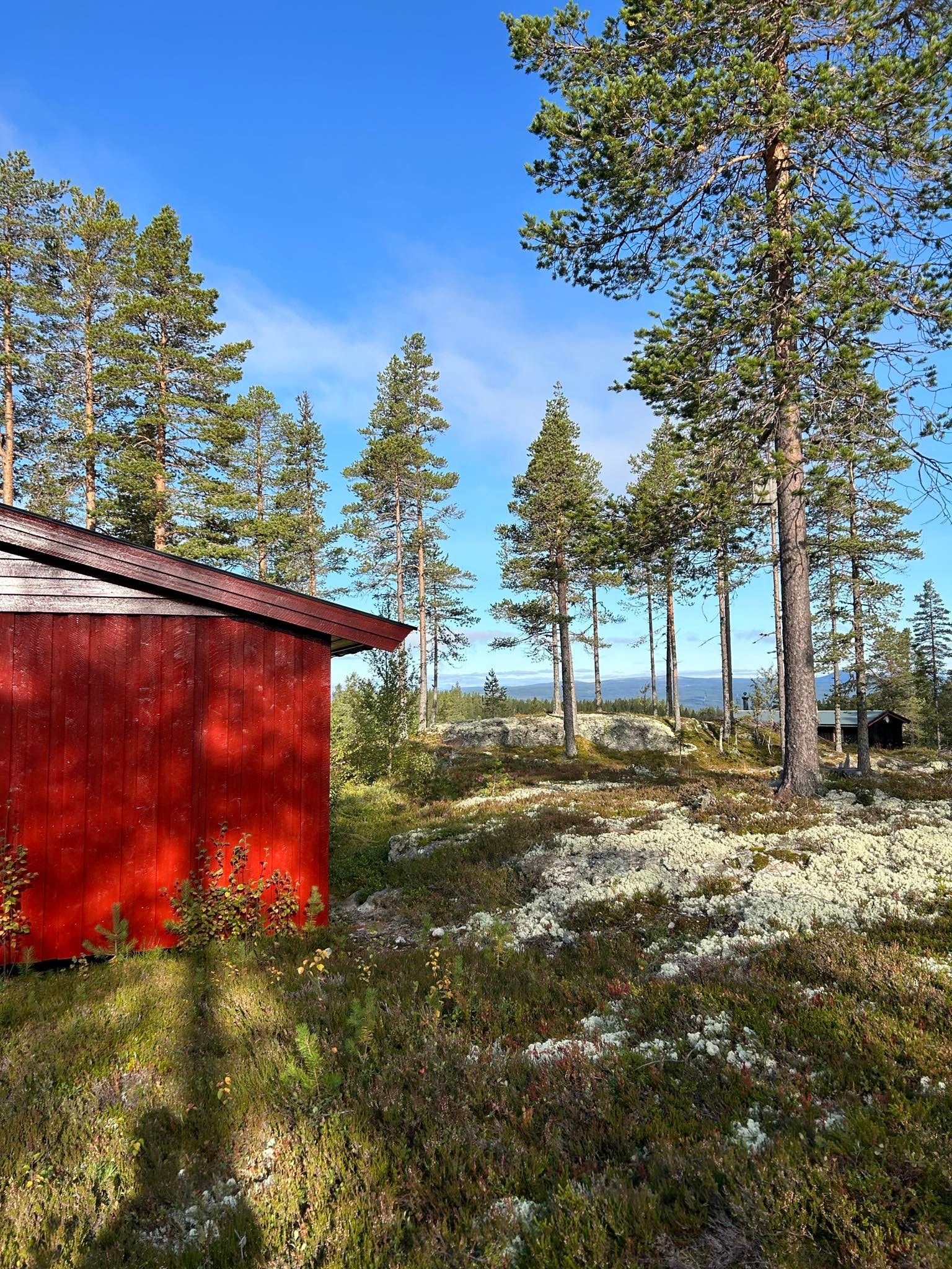 Flott utsikt i det fjerne. Galleribilde