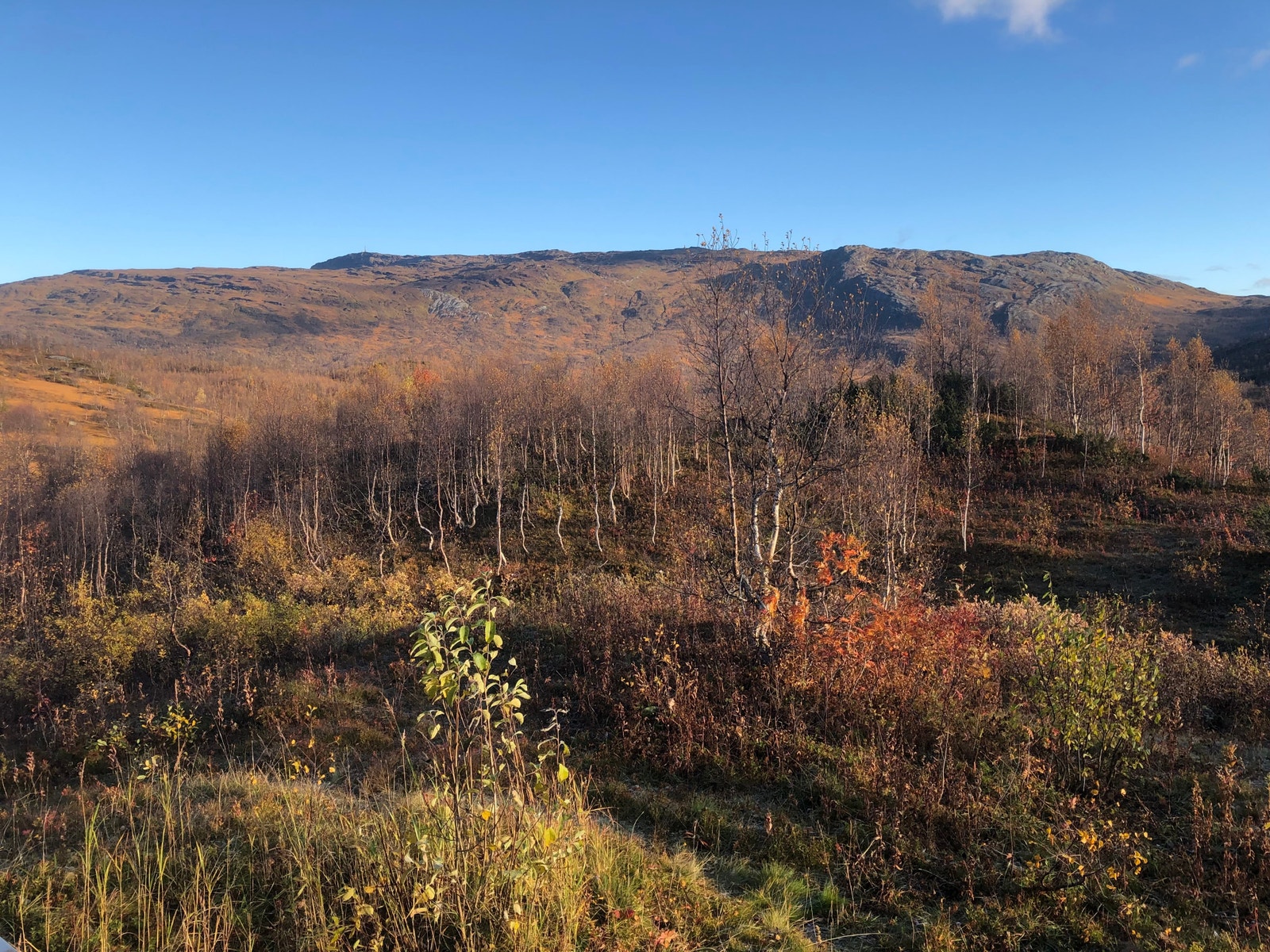 Utsikt mot Hellerfjellet Galleribilde