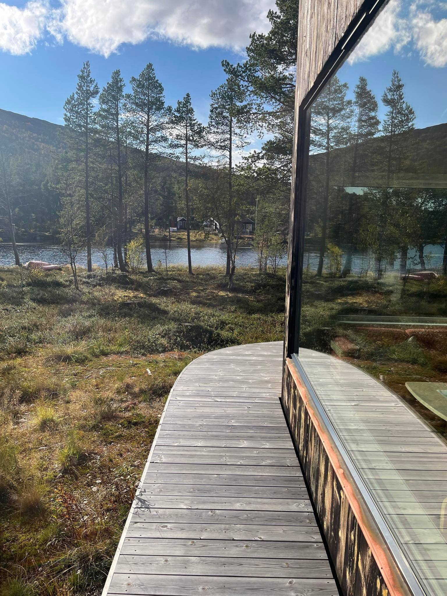 Platting rundt hytta Galleribilde