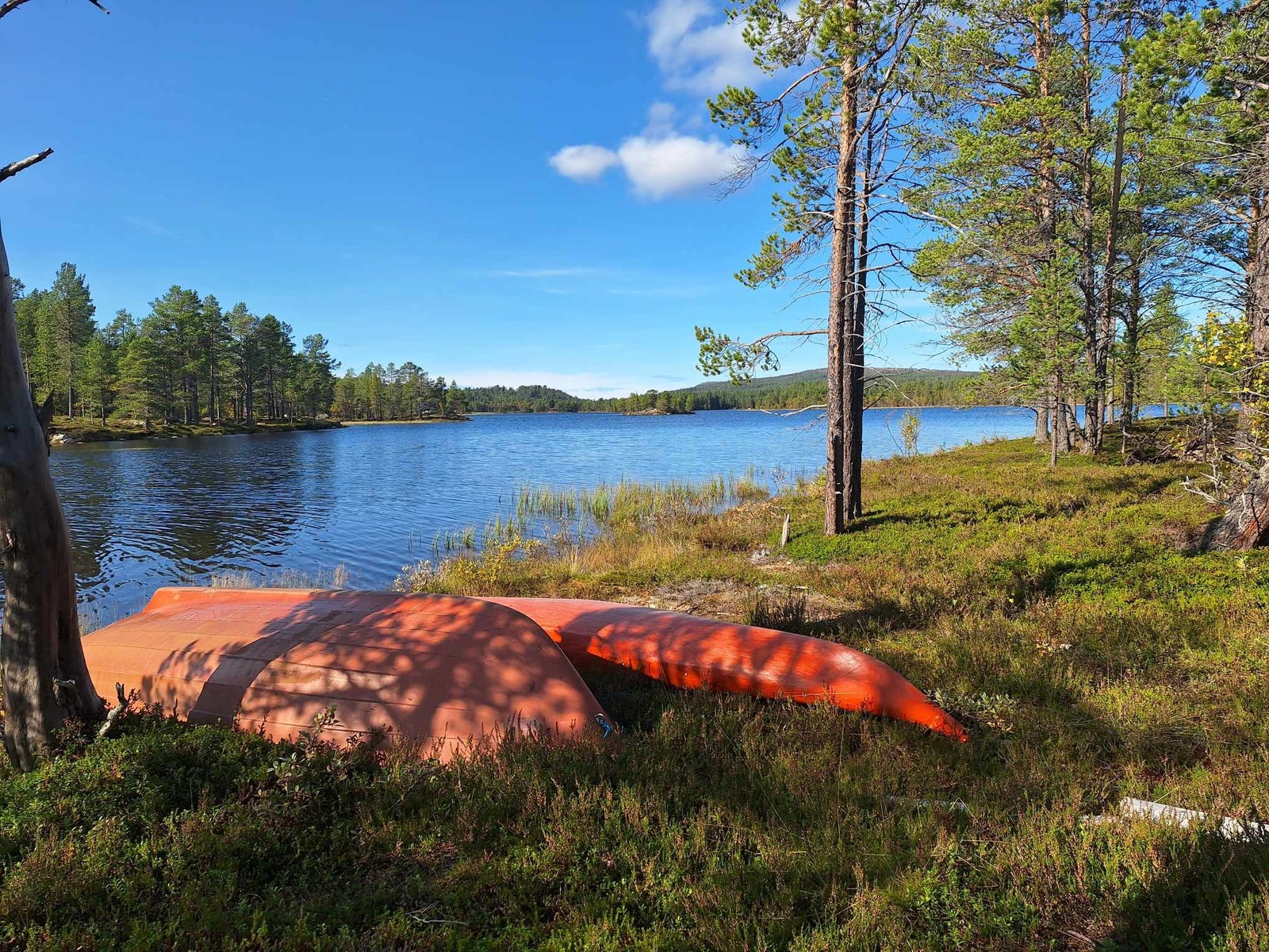 Kajakk og robåt Galleribilde